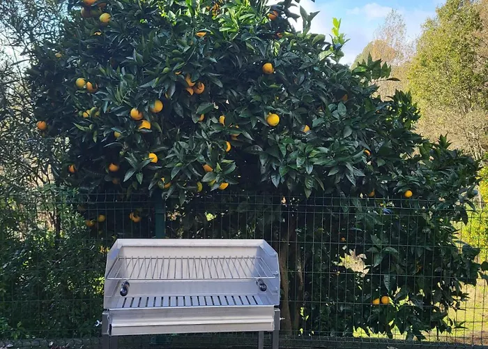 Maisons Des Fleurs Dom wakacyjny
